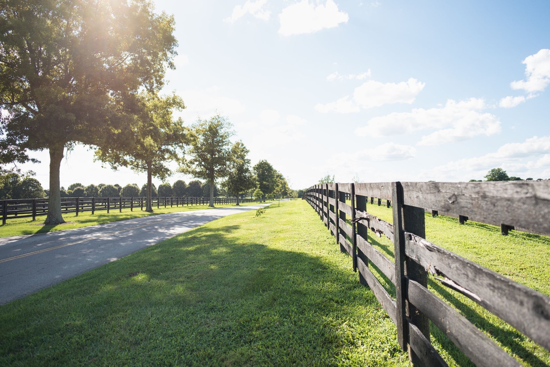 Trees, fencing, and grass in Kentucky