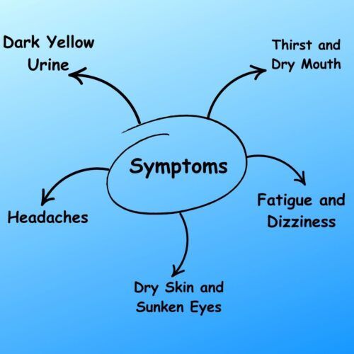 Diagram showing dehydration symptoms: dark urine, thirst, dry mouth, fatigue, dizziness, dry skin, headaches, sunken eyes.