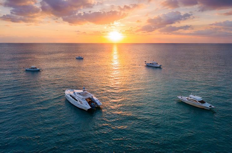 Several white yachts anchored in the ocean during a golden sunset.
