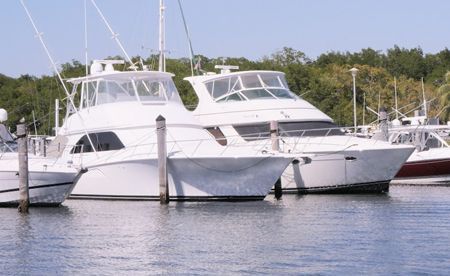 Several white yachts docked in a calm marina during the day, with trees visible in the background.