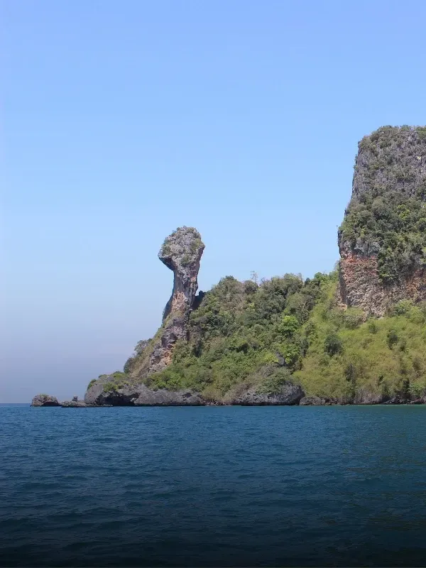 4 island's chicken island