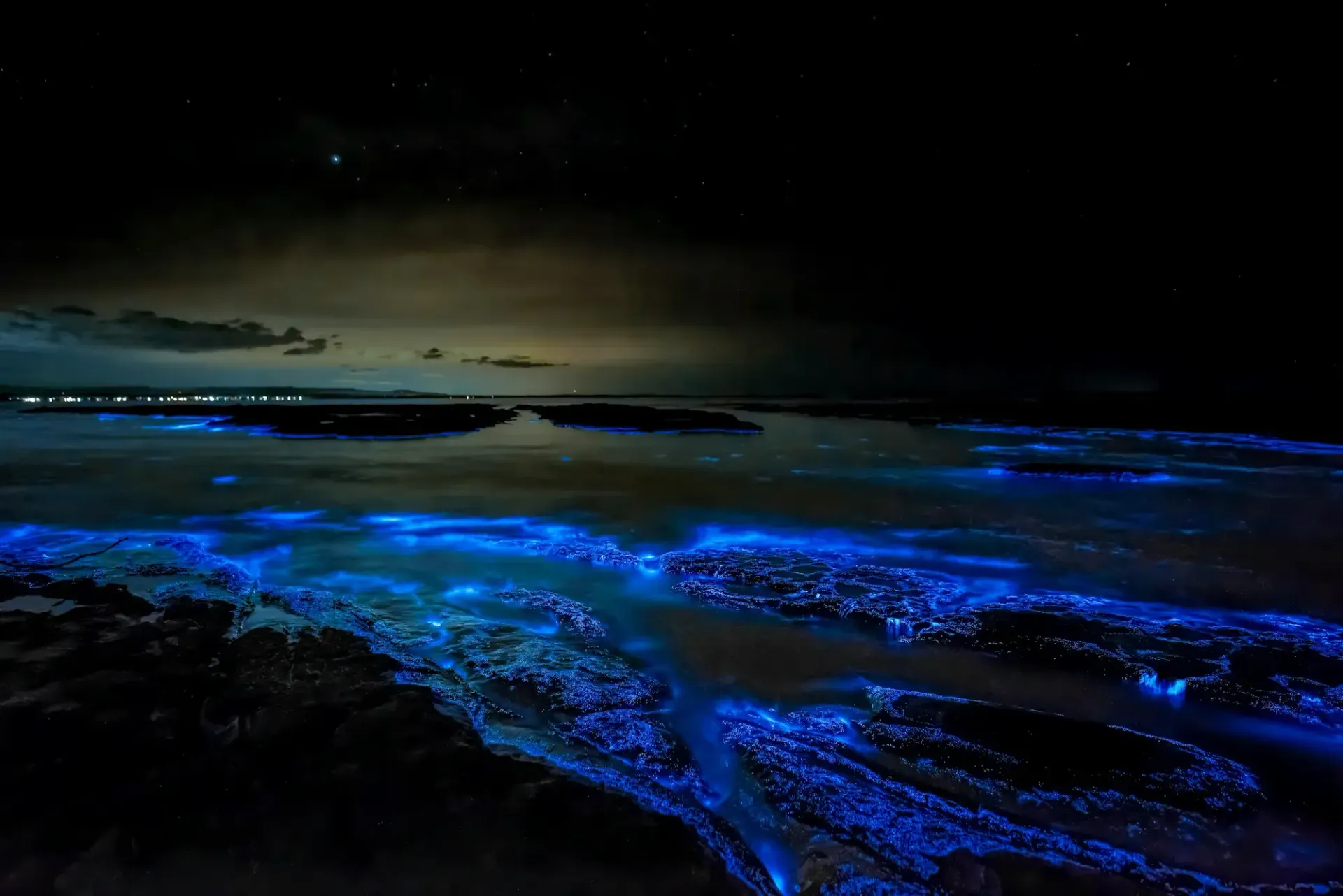 Bioluminscent Plankton in Krabi