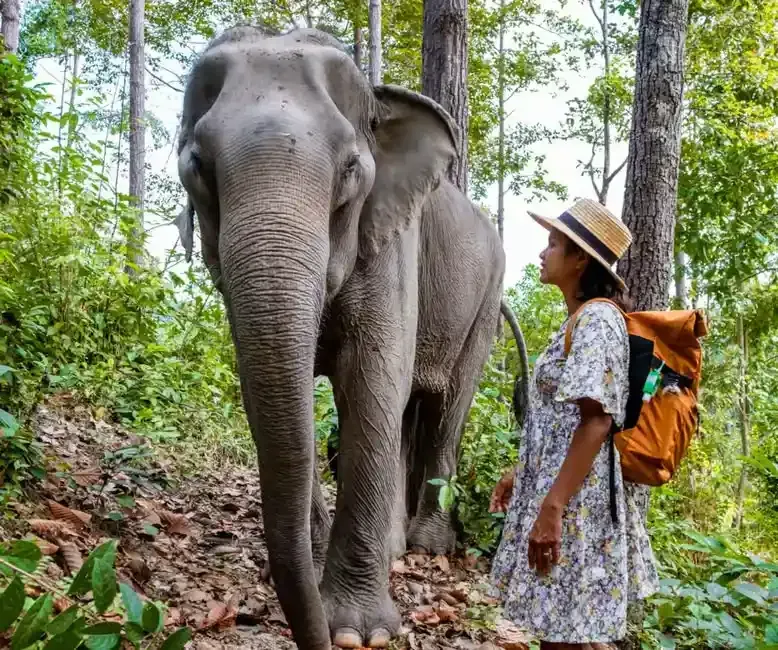 a woman beside an elephant 