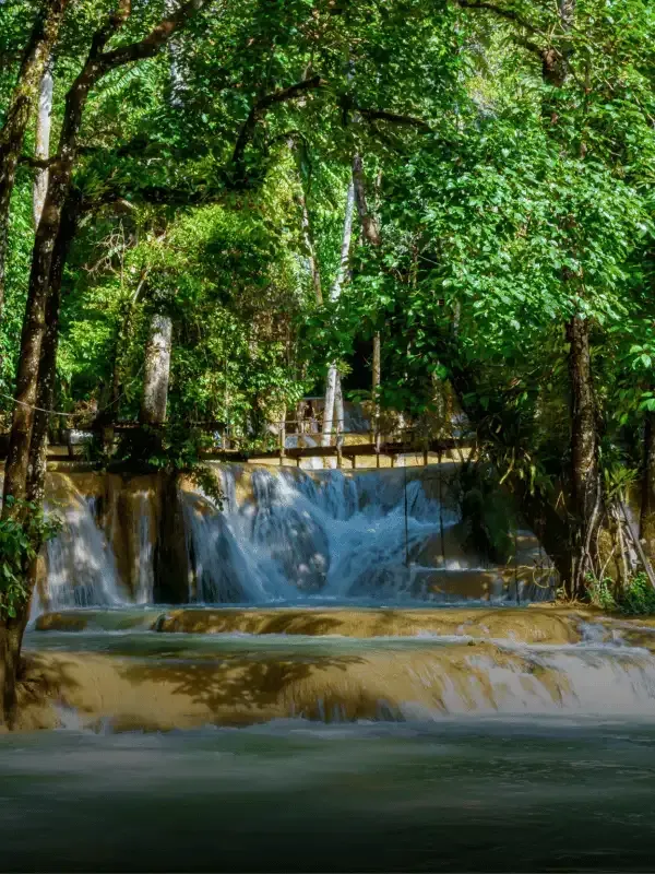 emerald pool in krabi