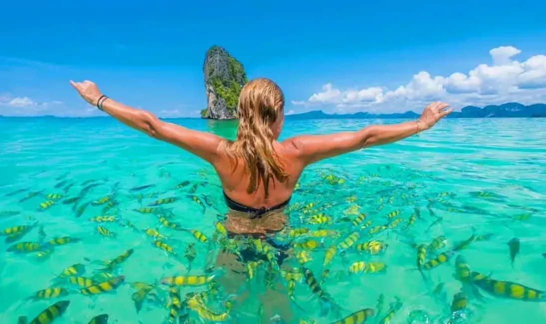 woman swimming with fishes in krabi