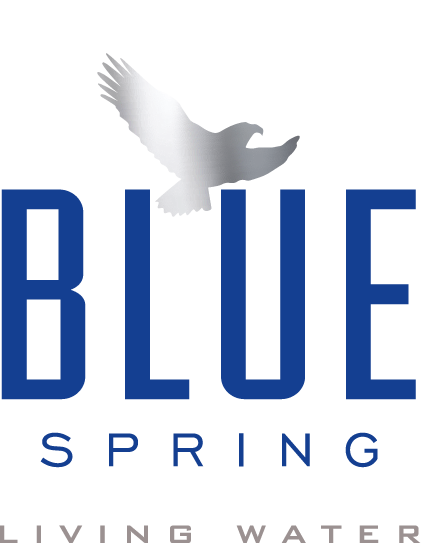 Drink local! Alabama's only natural spring bottled water Blue Spring Living  Water in Blountsville