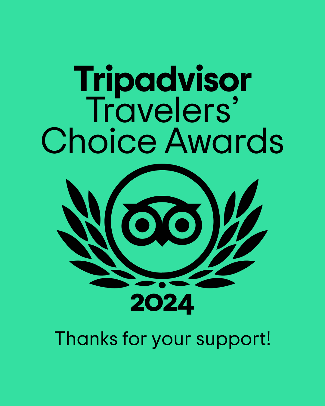 Tripadvisor Travelers Choice Award