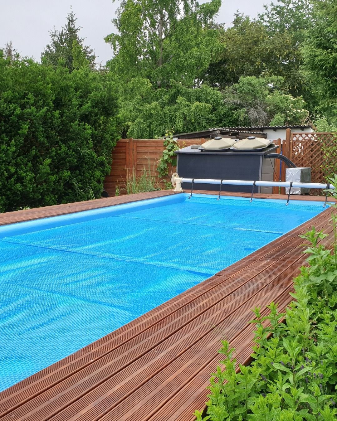 A rectangular swimming pool covered with a blue bubble tarp, surrounded by a wooden deck and lush green backyard foliage.