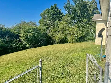 Grassy backyard with chain-link fence, trees, and side of a house. A satellite dish is visible.