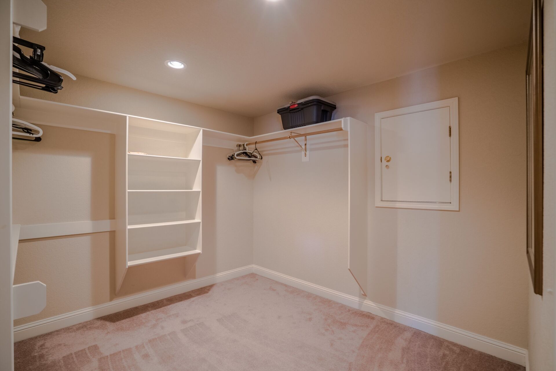 An empty walk in closet with a carpeted floor and shelves.