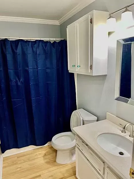 A bathroom with a toilet , sink , mirror and shower curtain.