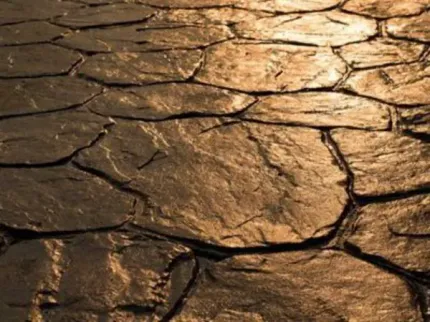 A close up of a stone floor that looks like a snake skin