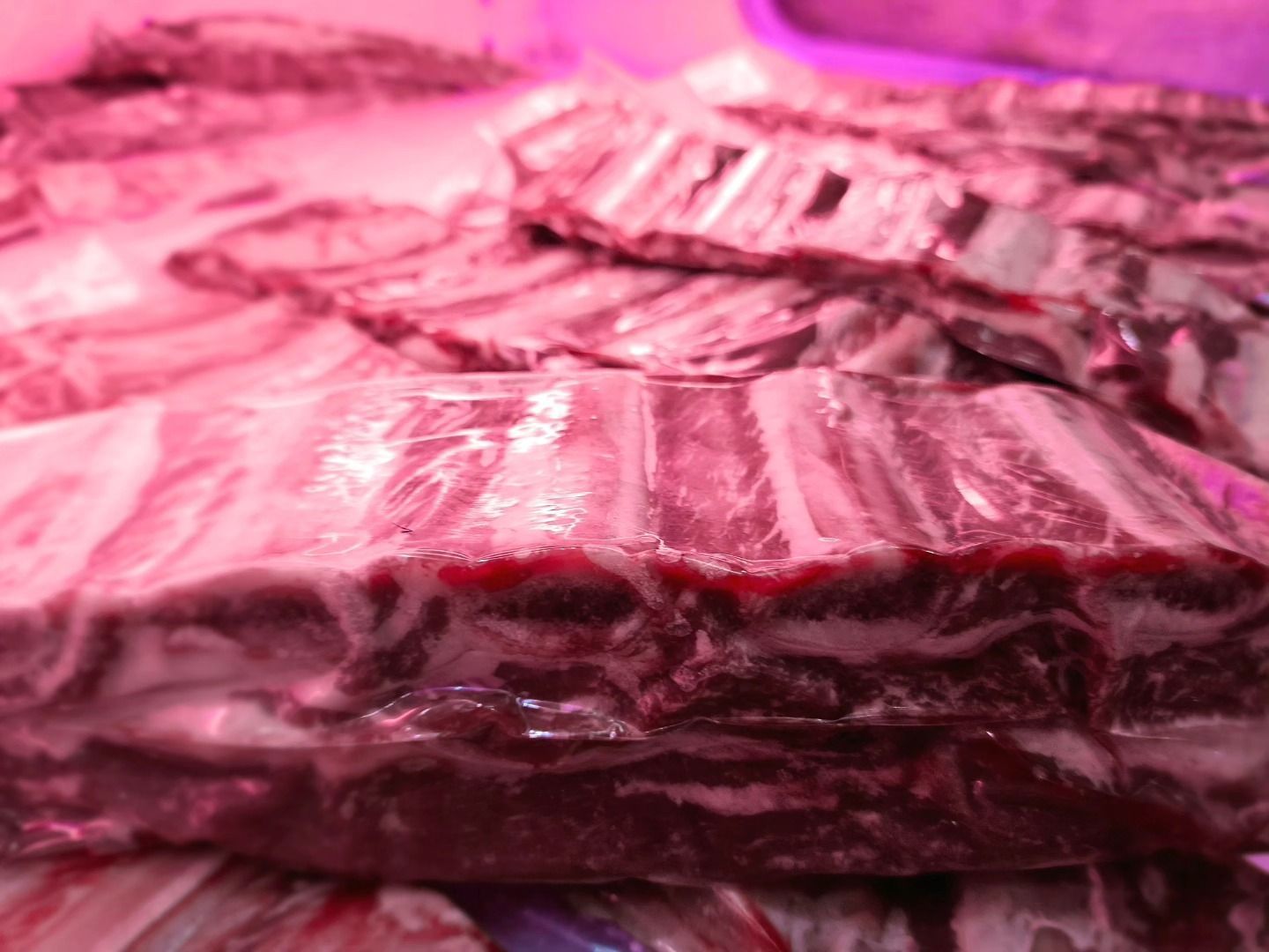 Costillas de res crudas dispuestas en una vitrina bajo iluminación rosa.