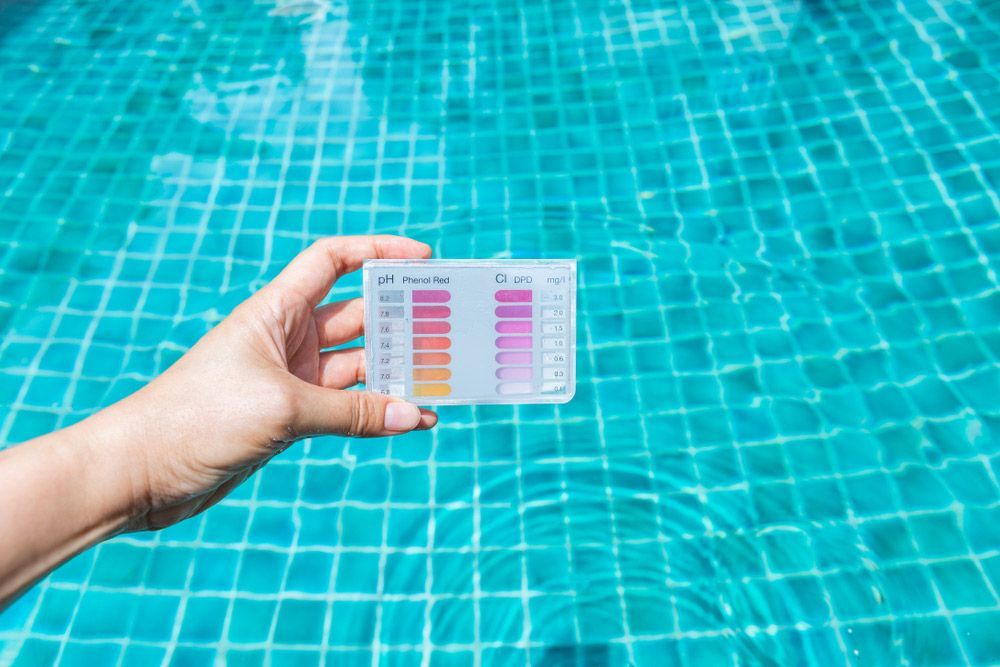 A Person is Holding a Test Kit in Front of a Swimming Pool — Taree Pool Supplies in Wingham, NSW