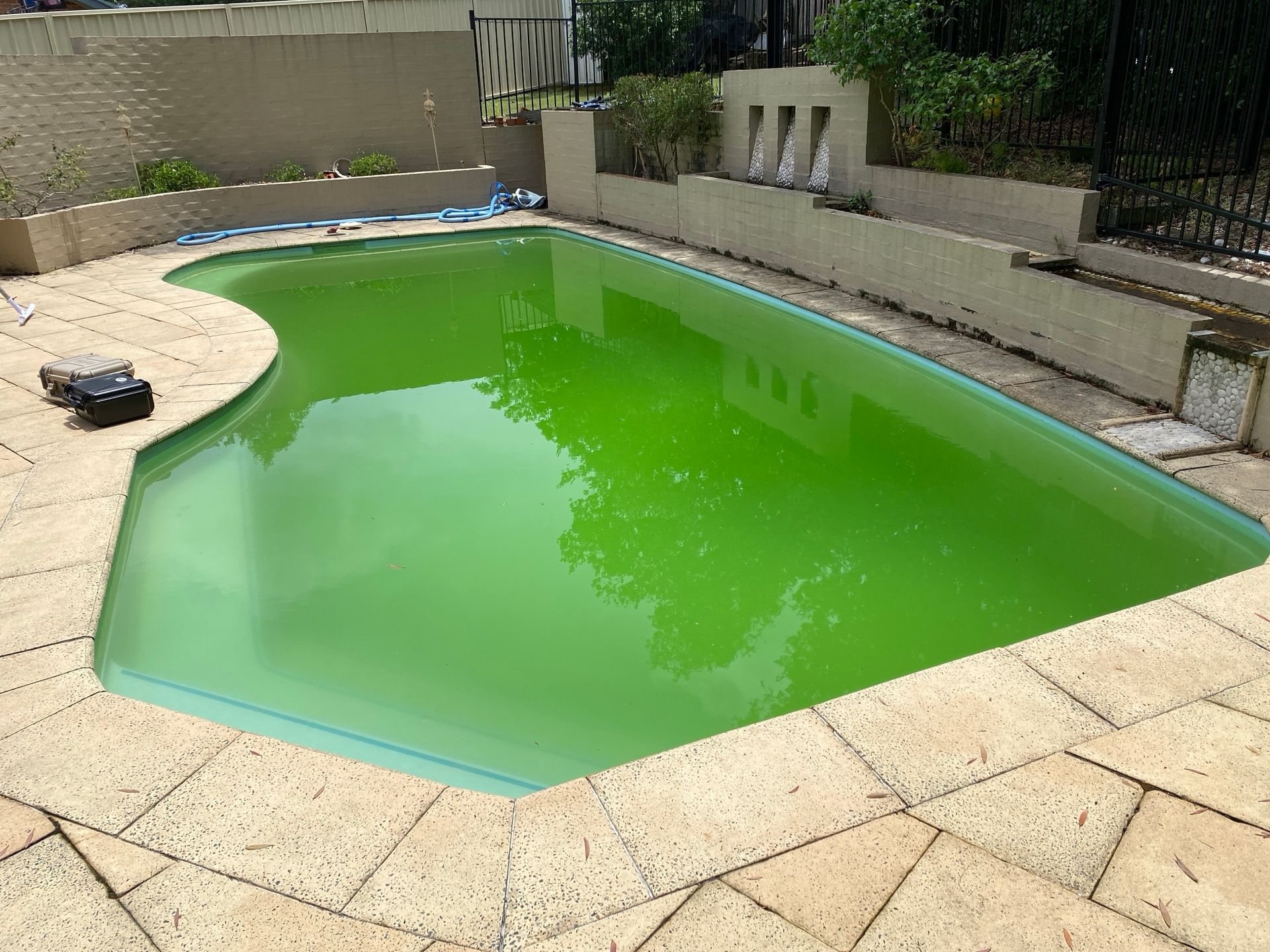 A Swimming Pool With a Lot of Green Water in It — Taree Pool Supplies in Taree, NSW