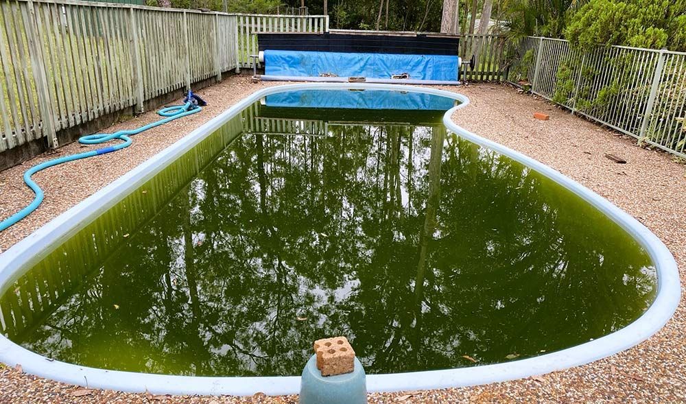 A Swimming Pool With a Lot of Green Algae in It — Taree Pool Supplies in Taree, NSW