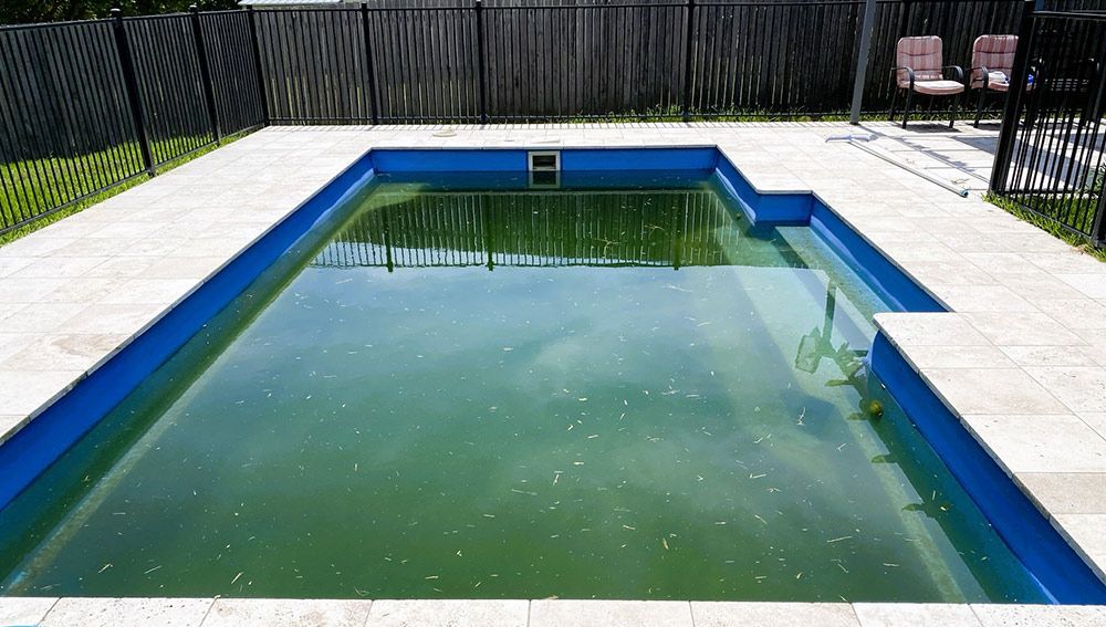 An Empty Swimming Pool With Green Algae Growing in It — Taree Pool Supplies in Taree, NSW