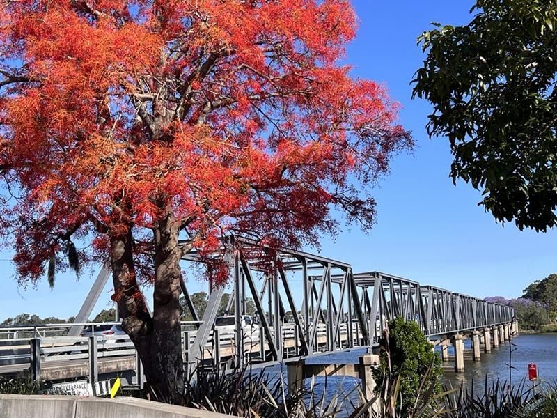 A Bridge Over a River With a Tree in the Foreground — Taree Pool Supplies in Taree, NSW