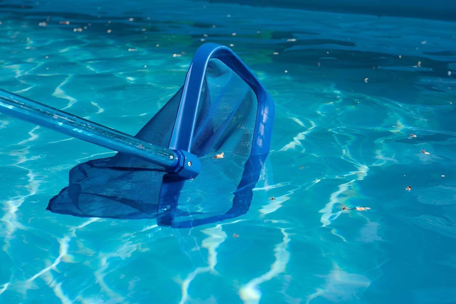 A Blue Net is Being Used to Clean a Swimming Pool — Taree Pool Supplies in Taree, NSW