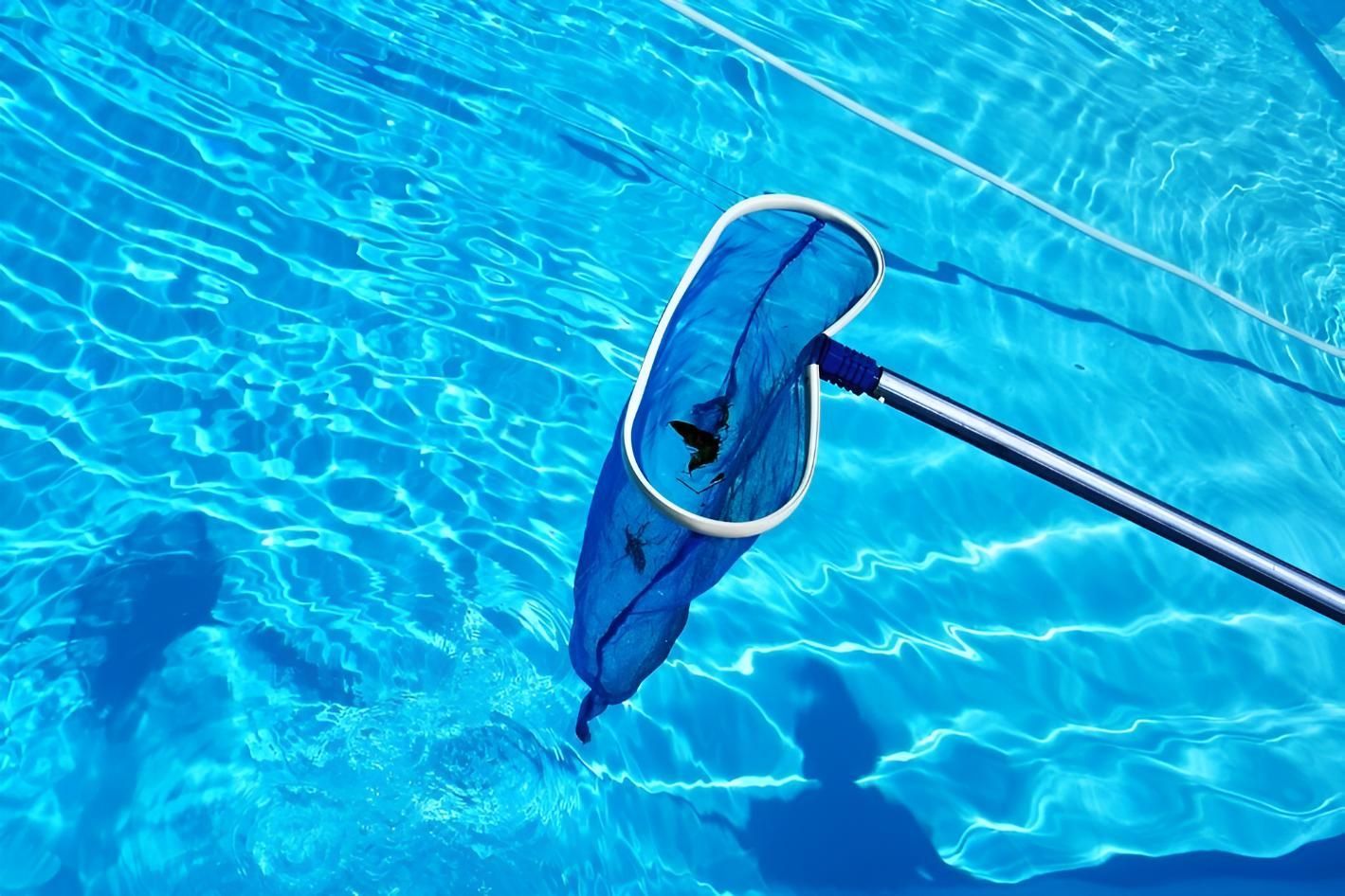 A Blue Net is Being Used to Clean a Swimming Pool — Taree Pool Supplies in Harrington, NSW