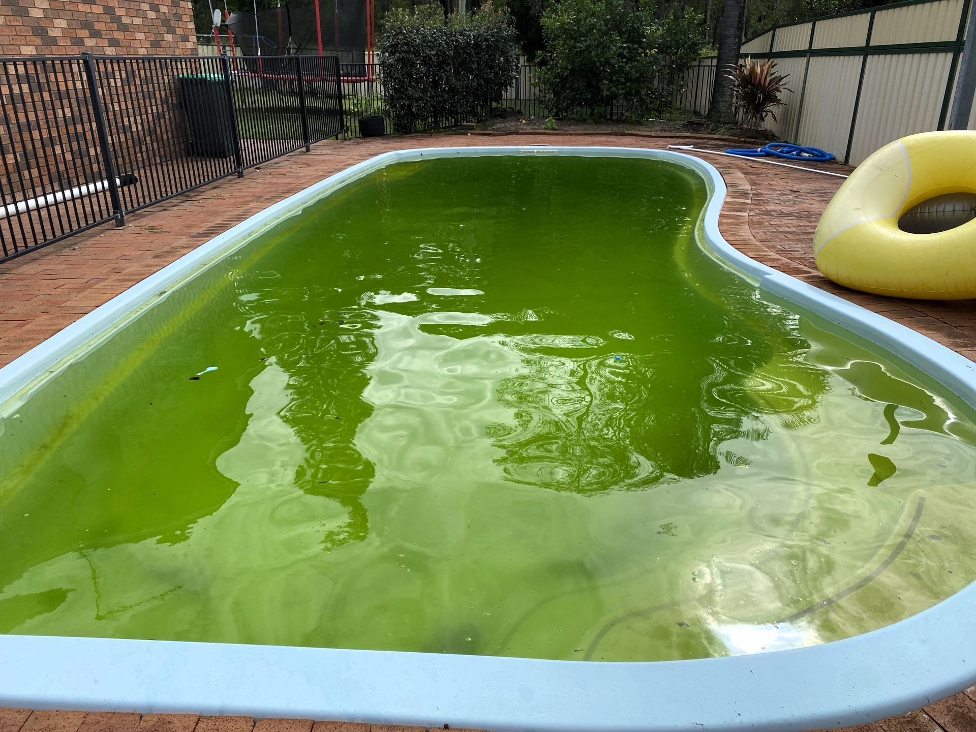 Pool Maintenance In Forster