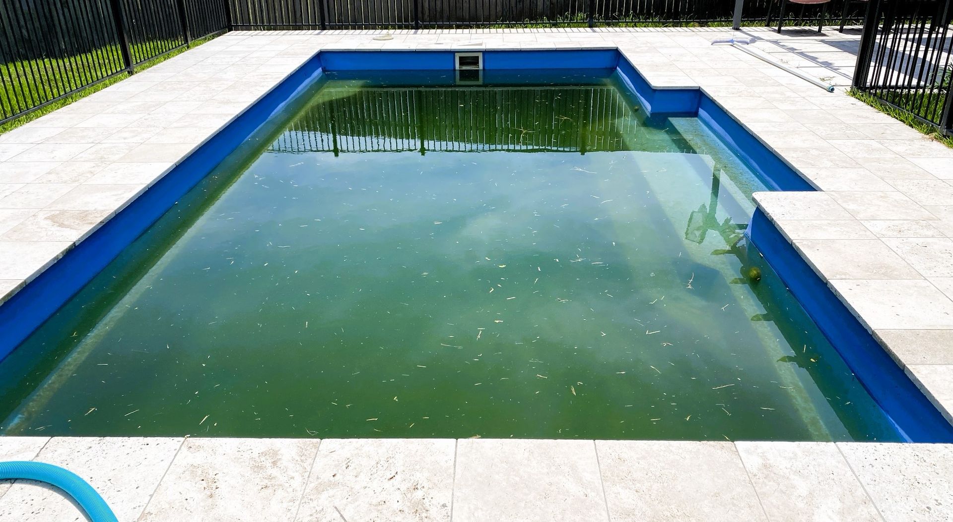 A Swimming Pool With a Blue Border and Green Water — Taree Pool Supplies in Taree, NSW