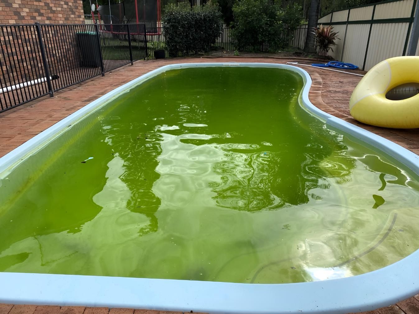 A Green Swimming Pool With a Yellow Float in It — Taree Pool Supplies in Forster, NSW