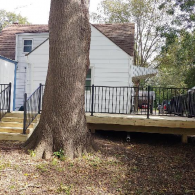 A newly constructed wooden deck with black metal railings wraps around the back of a white house beside a large tree.