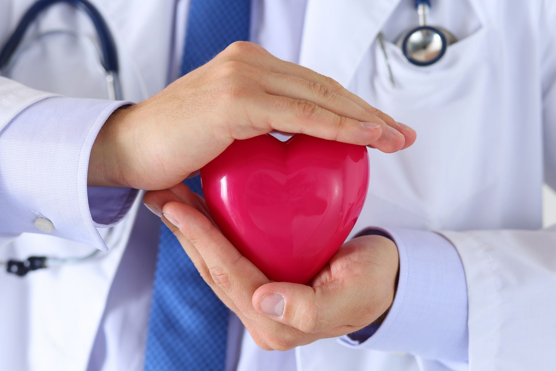 Close-up of doctor showcasing CPR course skills holding a heart symbol in his hands. Close-up of doctor showcasing CPR course skills holding a heart symbol in his hands.