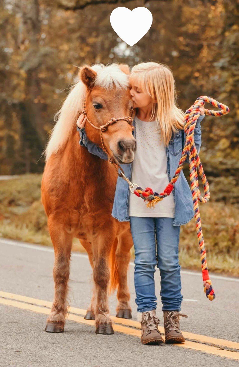 girl holding the reigns of a pony