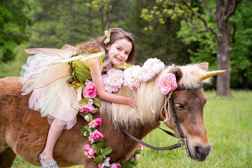 A little girl dressed as a fairy is riding on the back of a pony.