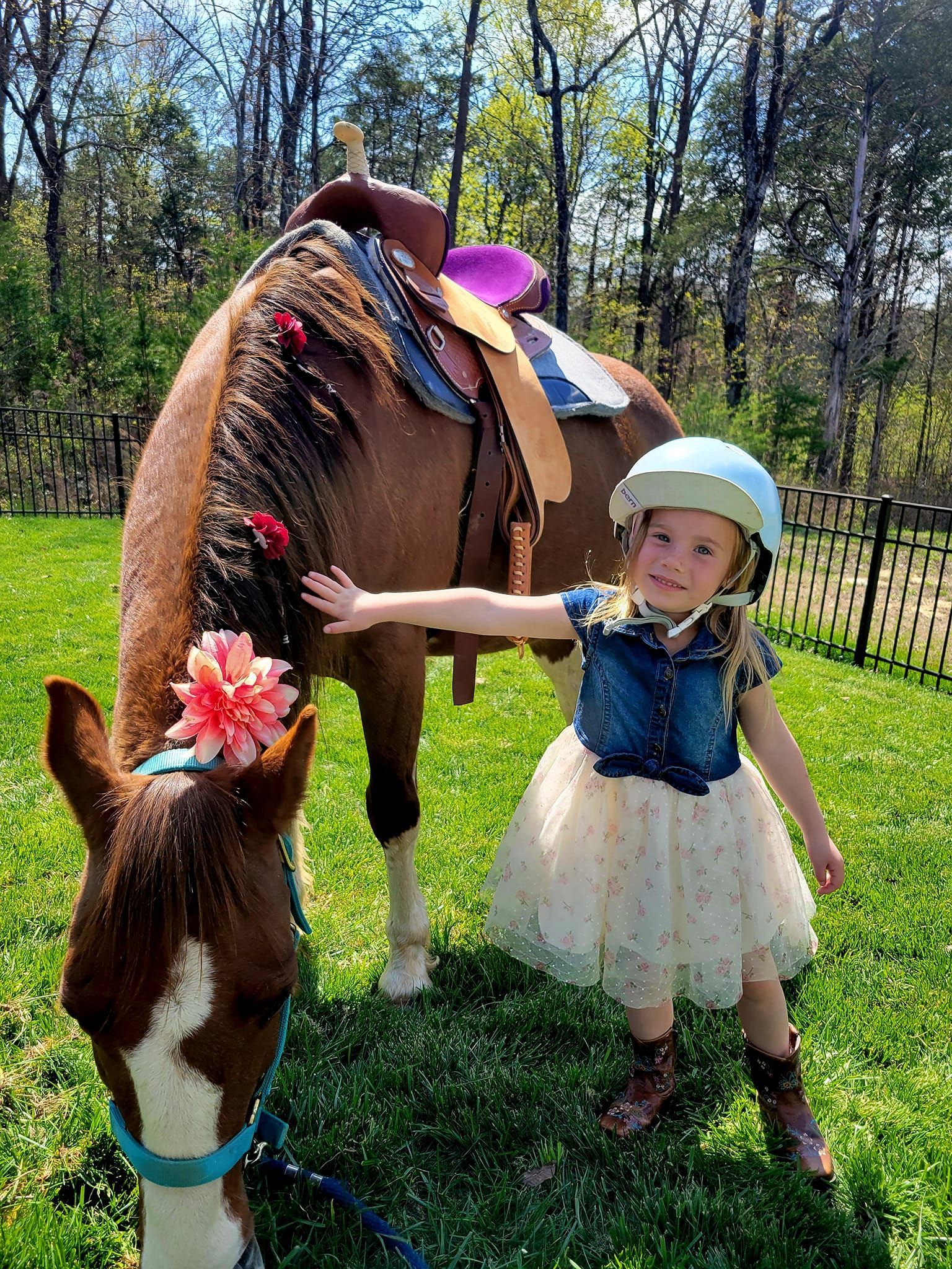 A little girl is petting a horse in a field.