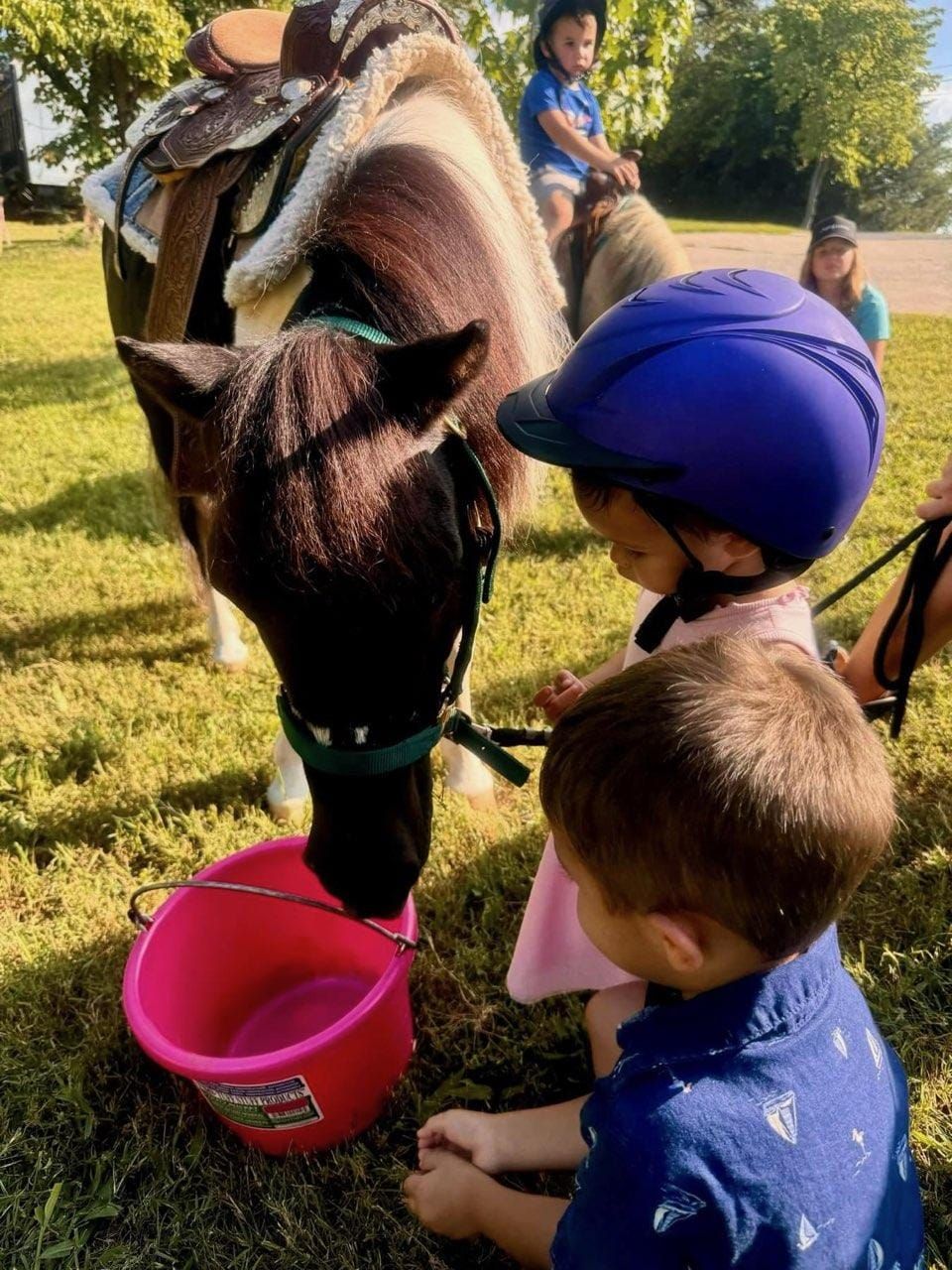 Two children are feeding a pony from a pink bucket.