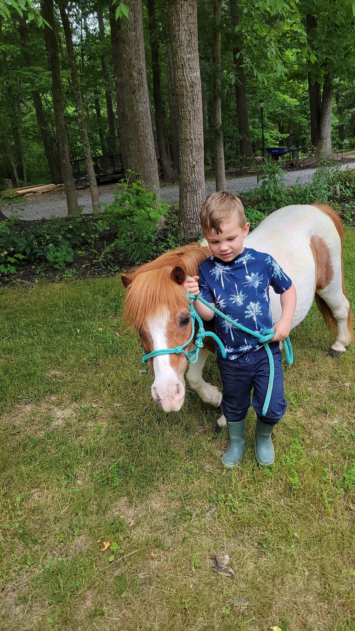 A young boy is standing next to a small brown and white pony.