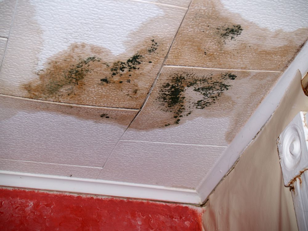 Ceiling Damaged by Water