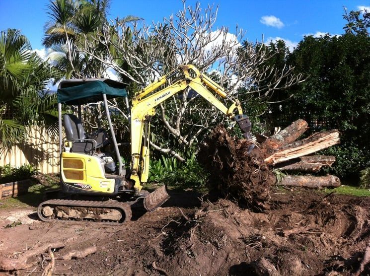 Yellow excavator lifting tree roots in a dirt area, logs in background.