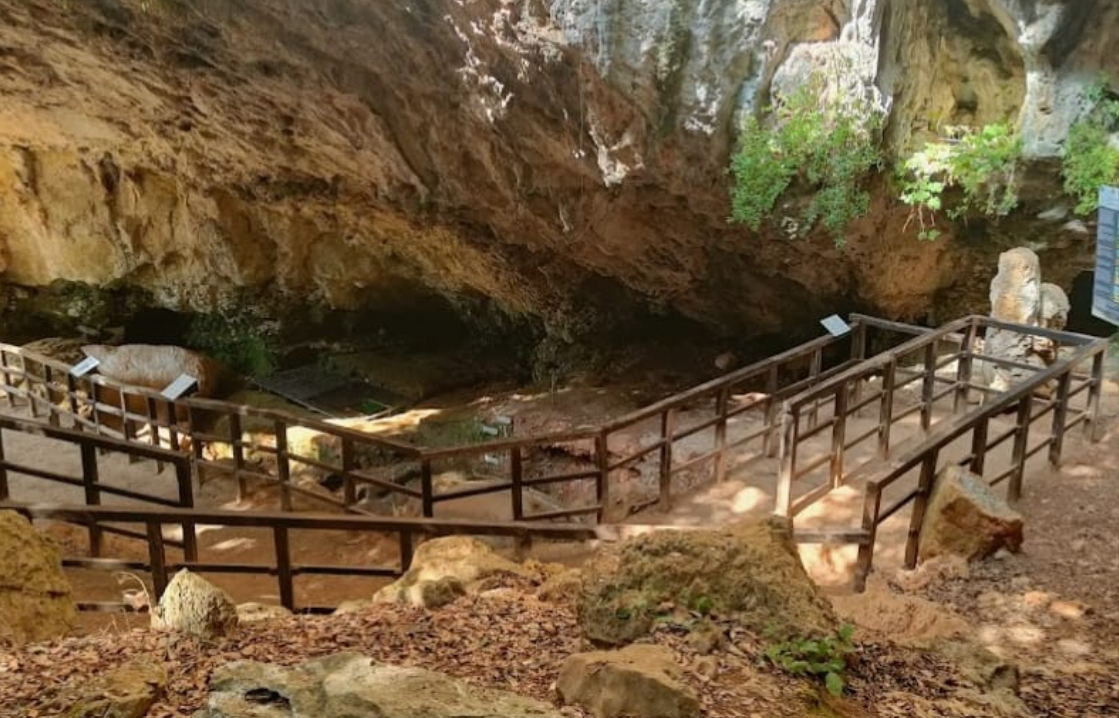 Passerella e ringhiere in legno si snodano attraverso un sentiero roccioso nella foresta, simile a una grotta.