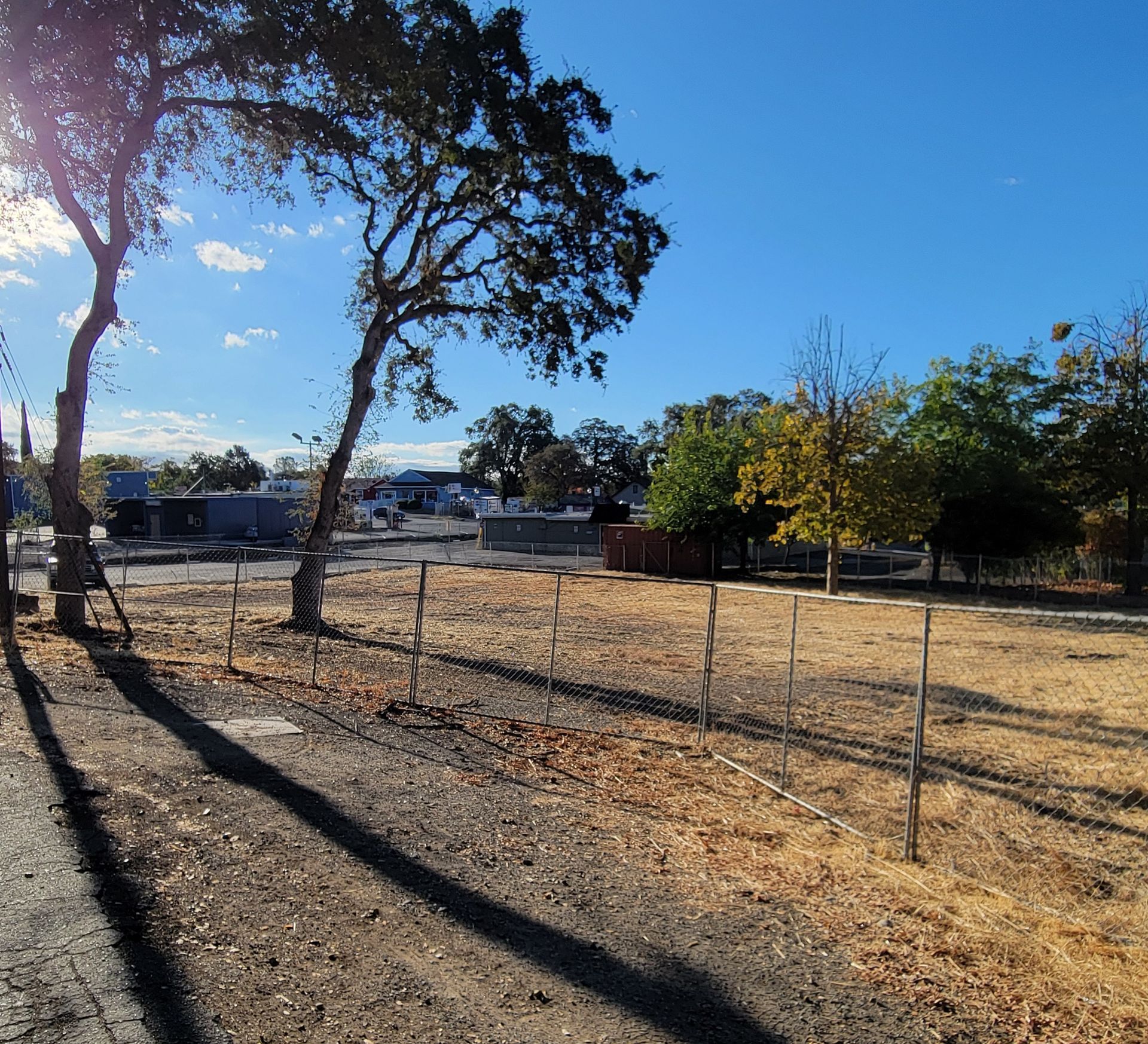 Retaining wall along a path covered in fallen autumn leaves, with a bank of foliage in the background.