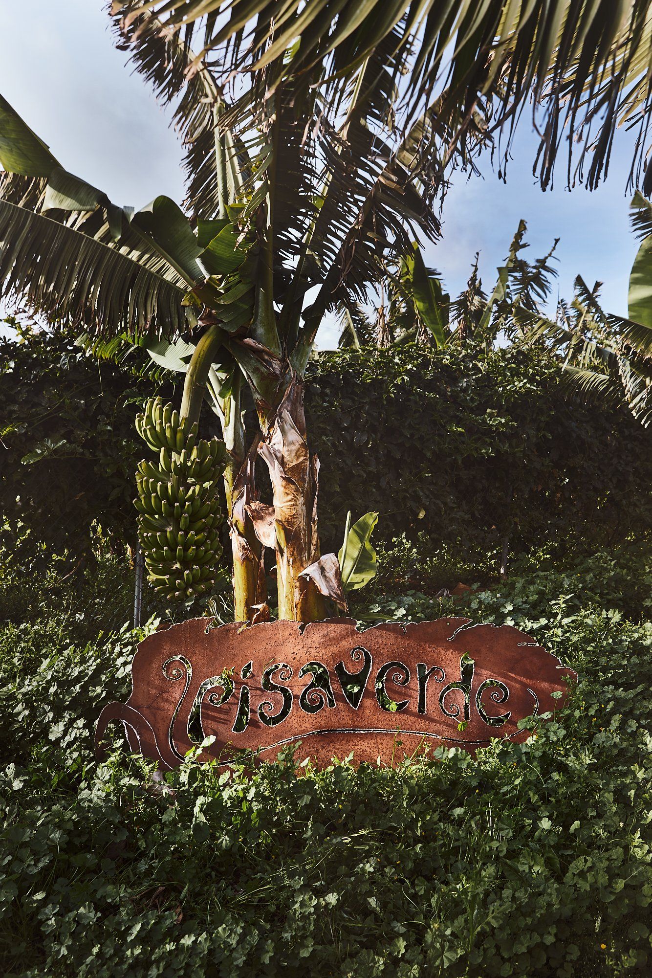 Pisa Verde en Tenerife por Elena de la Cruz