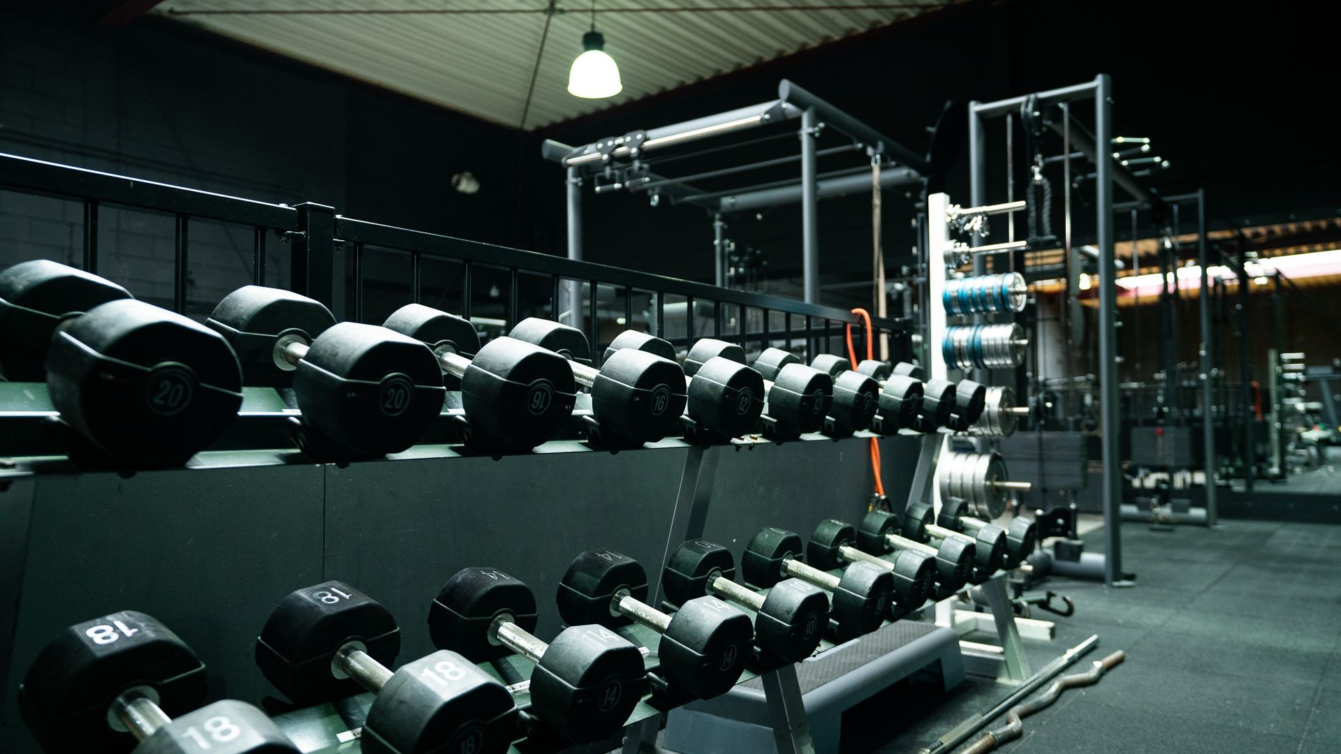 In een sportschool staat een rij halters opgesteld.