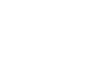 Slingshot logo
