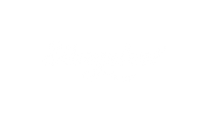 Slingshot logo