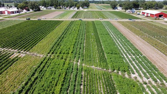 Fresh Pick from The Farm — Lynwood, IL — Bultema’s Farmstand & Greenhouse