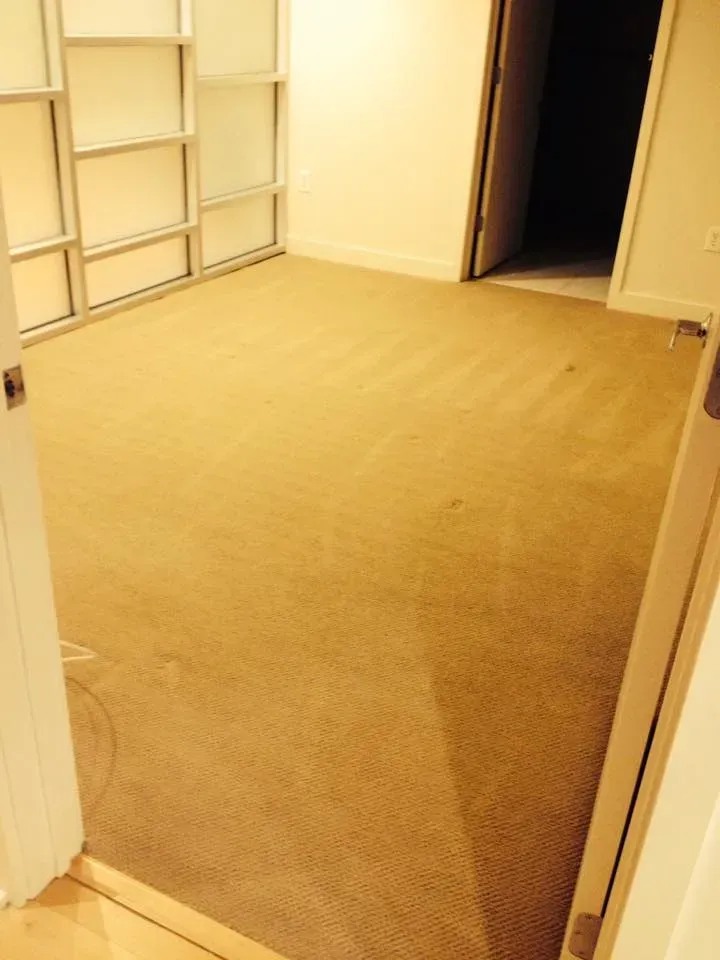 An empty room with a carpeted floor and a door leading to a hallway.
