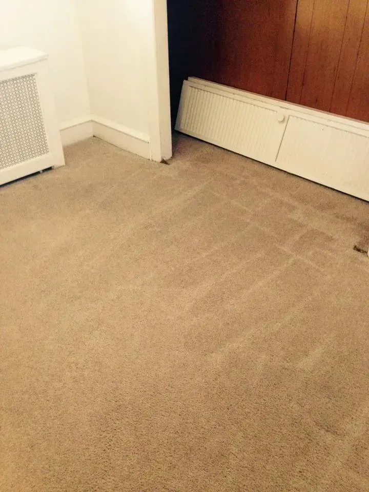 A room with a carpeted floor and a wooden wall.