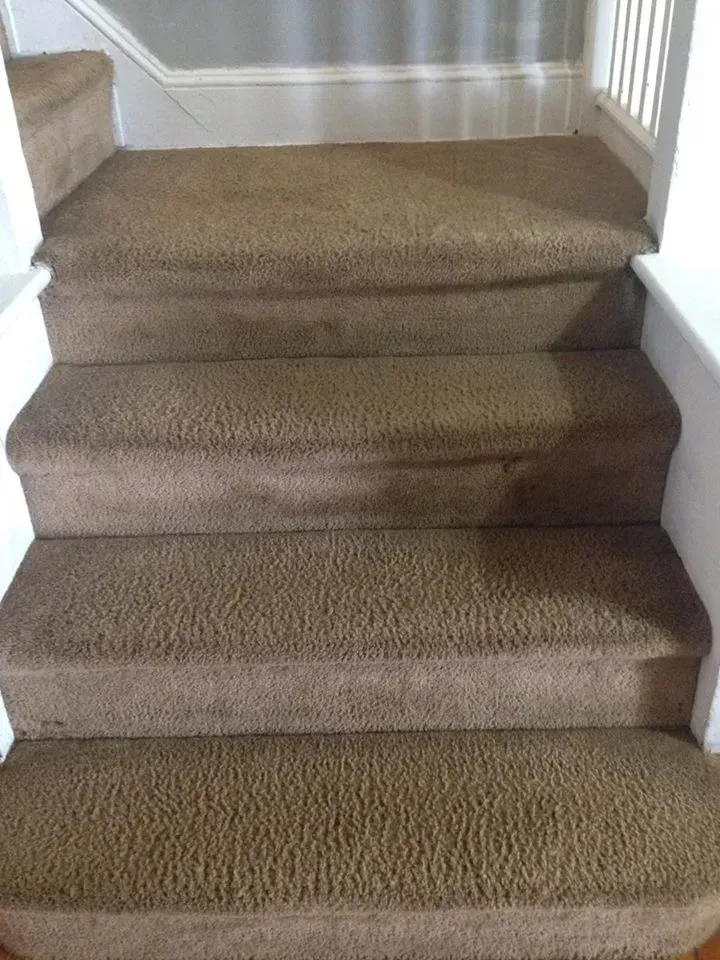 A set of stairs with a brown carpet on them.