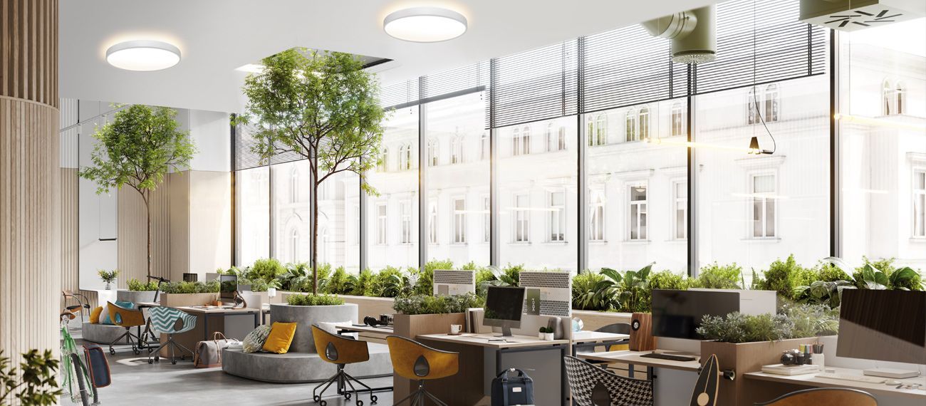 An artist 's impression of a modern office with lots of windows and plants.