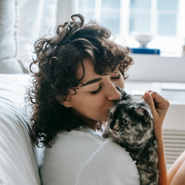 A person with curly hair kisses a grey and black patterned cat held close to their shoulder in a bright room.