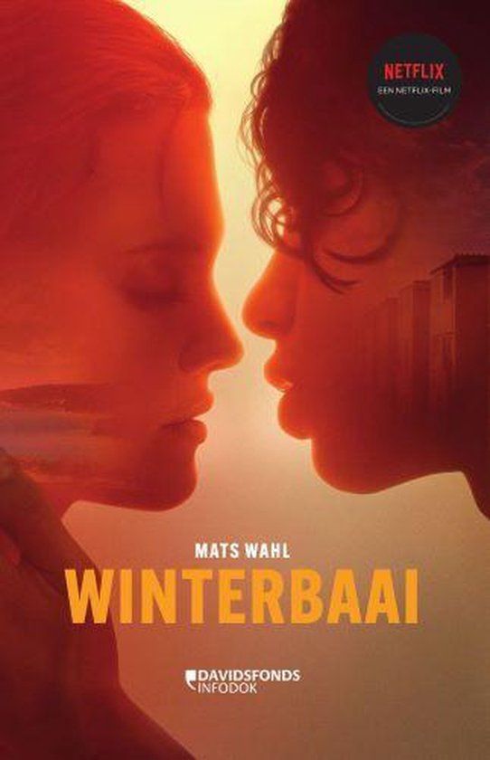 Boekrecensie Winterbaai - Mats Wahl