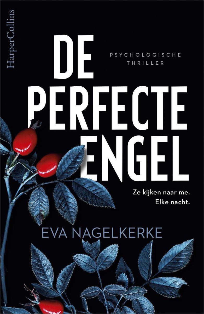 Boekrecensie De perfecte engel - Eva Nagelkerke